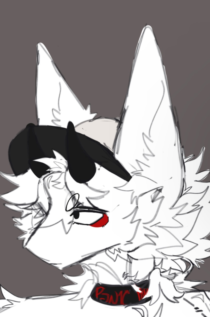 CocoDaProto's Avatar