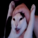 D_DfunD's Avatar