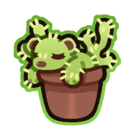 Thumbnail of Teddy Bear Cactus