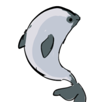 Thumbnail of Vaquita