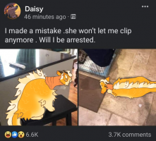 Submission thumbnail